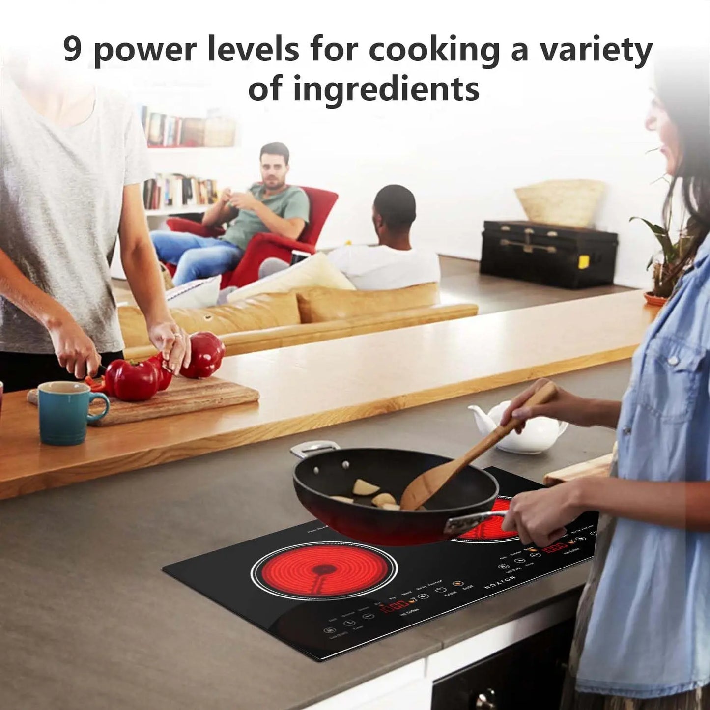 Noxton 2 Burners Electric Cooktop, 24" Built-in & Countertop Stove, Two Burner Ceramic Cooktop, Portable 110V Plug-in Cooktop