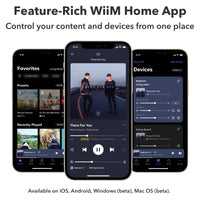 WiiM Mini AirPlay 2 Wireless Audio Streamer, Multiroom Stereo, Preamplifier, Works with Alexa and Siri Voice Assistants, Stream Hi-Res Audio from Amazon Music, Tidal and More