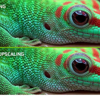 NVIDIA SHIELD Android TV Pro Streaming Media Player; 4K HDR movies, live sports, Dolby Vision-Atmos, AI-enhanced upscaling, GeForce NOW cloud gaming, Google Assistant Built-In, Works with Alexa