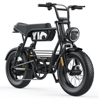 COSWHEEL Y16 Original Factory OEM ODM 15Ah 30Ah Lithium Battery E Bike 36V 48V 750W 1000W 500W Electric Bike