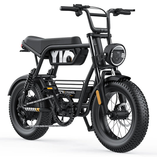 COSWHEEL Y16 Original Factory OEM ODM 15Ah 30Ah Lithium Battery E Bike 36V 48V 750W 1000W 500W Electric Bike