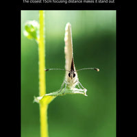 Nubia Z70s Ultra 5G Smartphone Snapdragon 8 Elite 6.85'‘AMOLED Display NEOVISION AI Photography4.0 50MP 144Hz 6600mAh NFC IP69