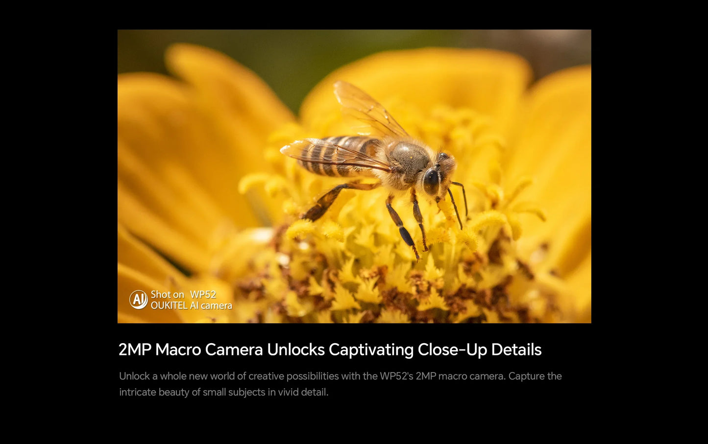 Oukitel WP52 5G Rugged Smartphone Android14 16GB+256GB 6500mAh Mobile Phone 48MP NFC Cell Phone