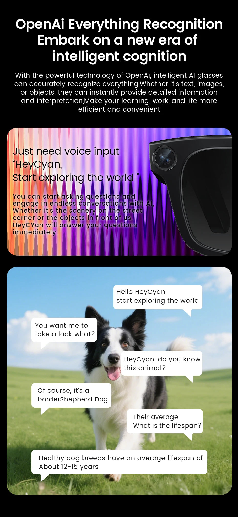 2025 New Smart Glasses 800W HD Camera AI Identification Touch 1080P HD Video Recording Al Voice Wireless Calling Smart Glasses