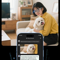 Smart Glasses 800W Pixel HD Camera Bluetooth Call Video Recording AI intelligent Real-time translation Object recognion Sunglass