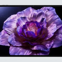 Global Version OnePlus Pad 3 Snapdragon 8 Elite 13.2-inch 144Hz 3.4K Screen 12140mAh Battery 13MP Rear Camera 80W Charge