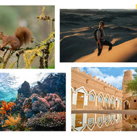 【World Premiere】Ulefone Armor 25T 4G Thermal Imaging Rugged Phone Android 14 33W 50MP+64MP NFC Waterproof Smartphone Global